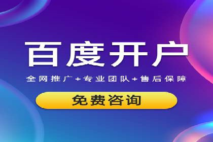 SEM托管服务案例：优化策略与效果展示